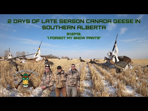 2 Days of Late Season Canada Geese! Season Finale. S1 Ep13.
