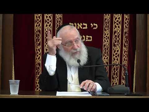The Mitzvah of Kiddush Hashem | Weekly Shiur by Rav Asher Weiss Shlit"a (5785)