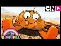 Gumball | Darwin Grows Legs! - The Origins Part 2 | Cartoon Network