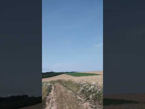 trenul cu șină vine la Oradea de la arad