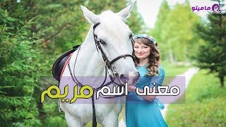 mariam hussein actress - تحميل اغاني مجانا