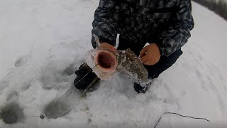 Ловля налима зимой на поставушку