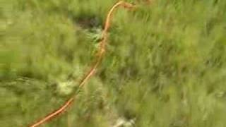 grandaddy disconnecty video