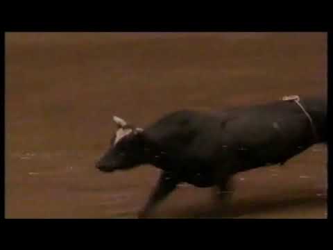 Bubba Dunn vs Risky Business - 97 PBR Ft. Worth (88 pts)