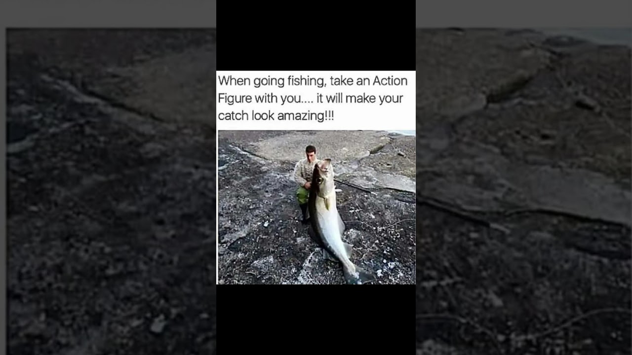 r/SLPT vol. 1 #motivation #memes