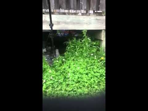 Don't hate Me- Richard Richardson Fun