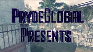 Introducing Pryde Zeitgeist