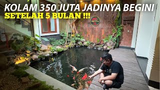 KENA MENTAL !!! KOLAM IKAN KOI 350 JUTA UNTUK KOI SHOW QUALITY BEGINI HASILNYA