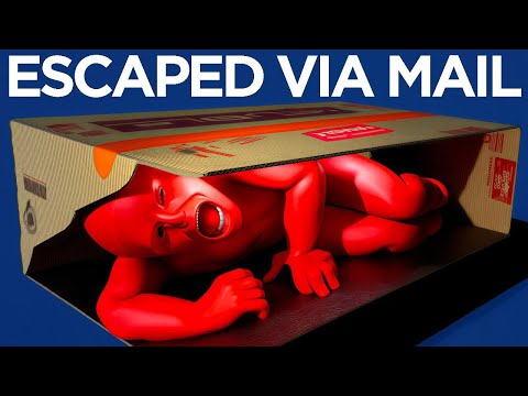 When The Most Impossible Prison Escapes Were Pulled Off