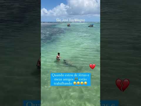🌊💙 O PARAÍSO DE ALAGOAS ONDE VOCÊ PODE ENCONTRAR O GIGANTE MAIS GENTIL DO BRASIL!