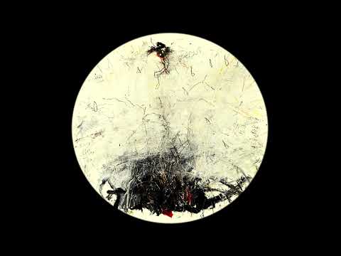 Vlad Radu - Should Know