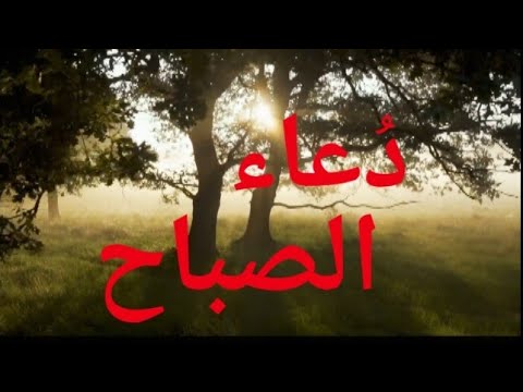 دعاء الصباح لأمير المؤمنين عليه السلام ||بصوت السيد وليد المزيدي ||