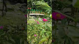 Download lagu Curug Cigentis mp3 Download lagu Curug Cigentis mp3