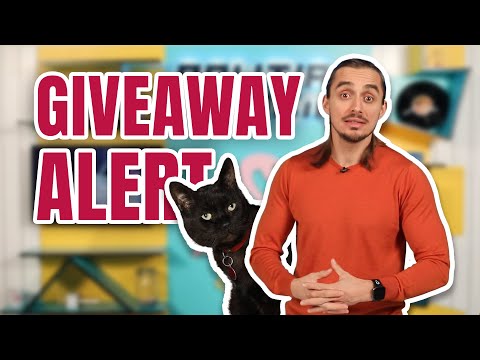 Politia Muzicii: MIRA - Cineva, JUSTIN BIEBER