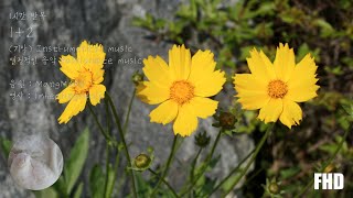 열정적인 음악 1시간 반복 Passionate music Repeat for 1 hour (1+2 (기악) - MangMARU)