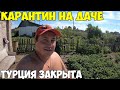 Ужесточение карантина на две недели, дача лучший способ для самоизоляции. Турция закрыла границы Ужесточение карантина на две недели, дача лучший способ для самоизоляции. Турция закрыла границы