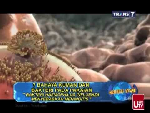 Dapat jika di bawah kepala anggota jerawat kecil Herbal Rusia untuk meningkatkan potensi