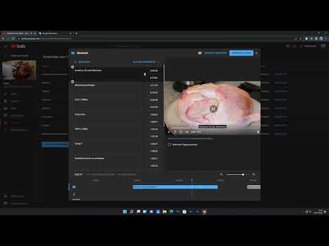 YouTube more reach with automatic subtitle translator in all languages