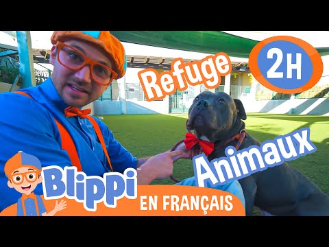 Blippi Visite Un Refuge d’Animaux | | Blippi en français | Vidéos éducatives pour enfants