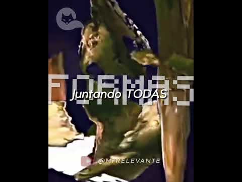 ¿Cuál es la verdadera forma de la Tierra?