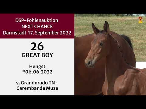 26 Grandorado Carembar de Muze