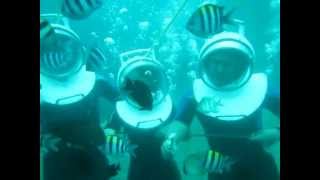 preview picture of video 'Tanjung Benoa Bali Seawalker Activities'