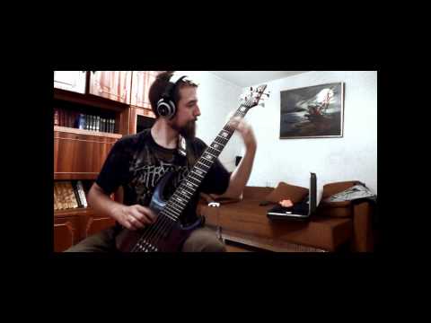 Abysmal Torment - Epoch Of Methodic Carnage (bass cover)