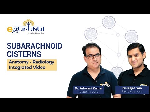 Subarachnoid Cisterns | Anat-Radiology Integrated video | DBMCI NEXT pattern teaching