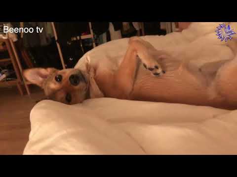 Haebin's IGTV #6 (ENG SUBS)