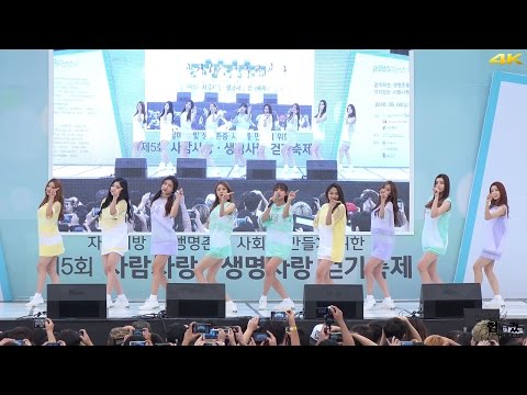 20160904 구구단(gugudan) 일기(Diary) @사람사랑 생명사랑 걷기축제 직캠 by 험하게컸다