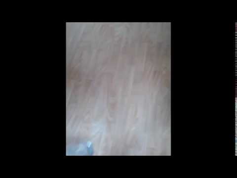 Mike Wazowski does amazing bottle flip in a vertical video