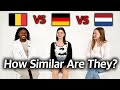Can Dutch and German Speaking Countries Understand Each Other? (Belgium vs Germany vs Netherlands)