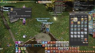 FF14紅蓮祭最終回手形集め競走！！