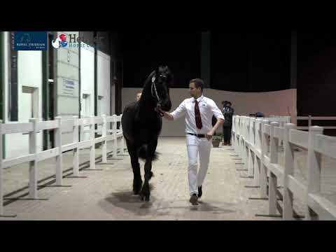 KFPS Eerste Bezichtiging HK2021 woensdag deel II – 9 december