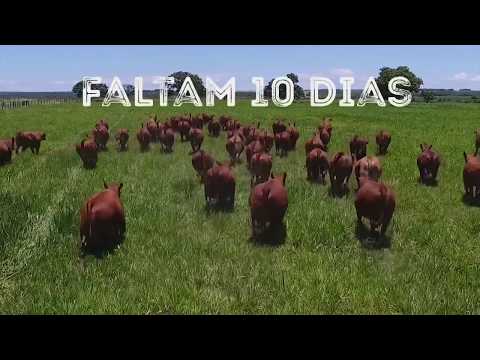 Faltam 10 dias
