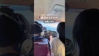 セブ島でセスナの操縦してきた✈️ #セブ島旅行 #セブ島観光 #海外旅行 #shorts