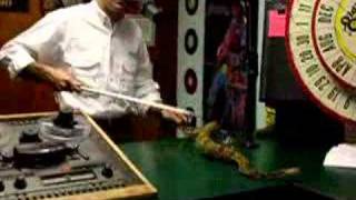 Chad Peeling with Timber Rattlesnake