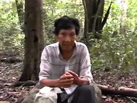 I'll Never Go Back - Shaman Testimony