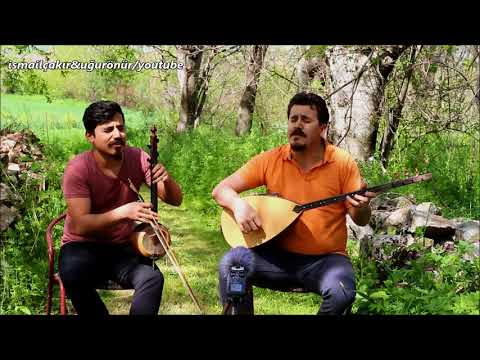 Video Yükleniyor...