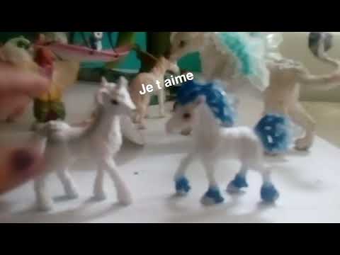 Amour entre un cheval et une chèvre