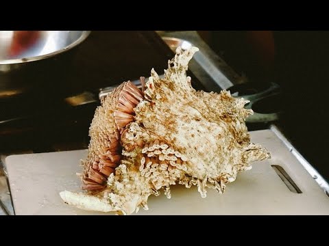 ALIEN SHELL Sashimi Unbelievable Sashimi - Thai Street Food | Tasty Street タイナイトマーケット