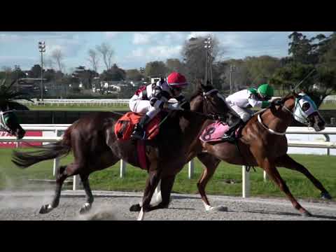 210925 c04 PUNCH OF WARM