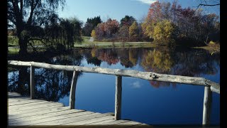 Eleanor Roosevelt - Close to Home