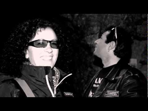 LAMA Germany; Spain, Switzerland. Hochauflösend tu was die sagen...