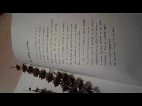 El Último Gaucho - Poema de Roberto Glorioso