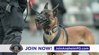 Anaheim PD Recruitment