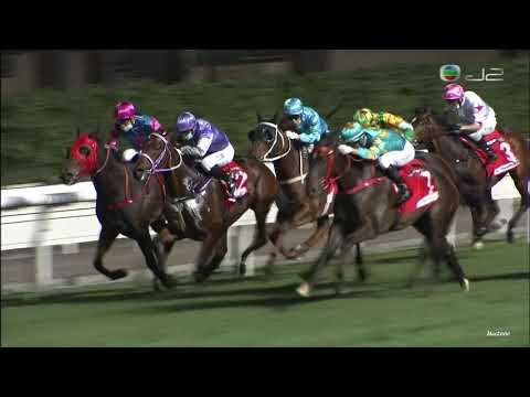 03/02/2021 (399) 追風驥足 (D009) 莫雷拉