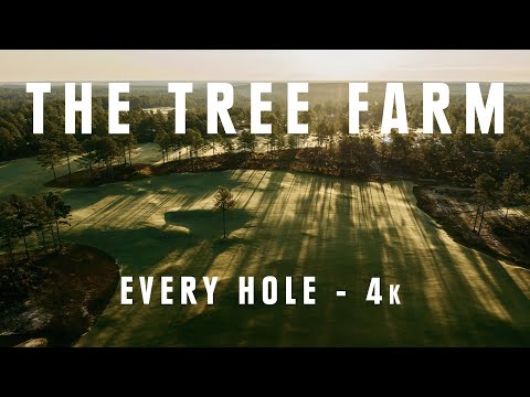THE TREE FARM Golf Club - Every Hole 4k