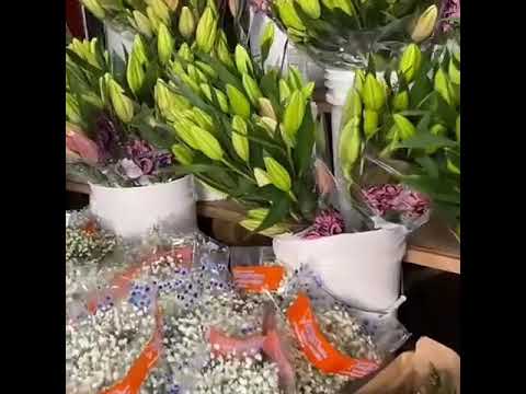 Azucena wholesale flowers