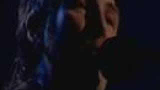 Jerry Fish - True Friends (with Glen Hansard)